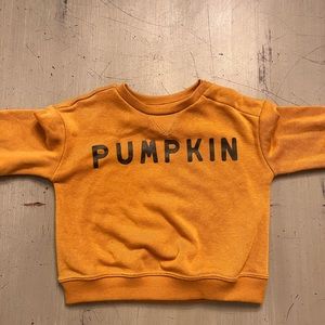 Lauren Conrad Little co. 6M pumpkin crew neck weatshirt